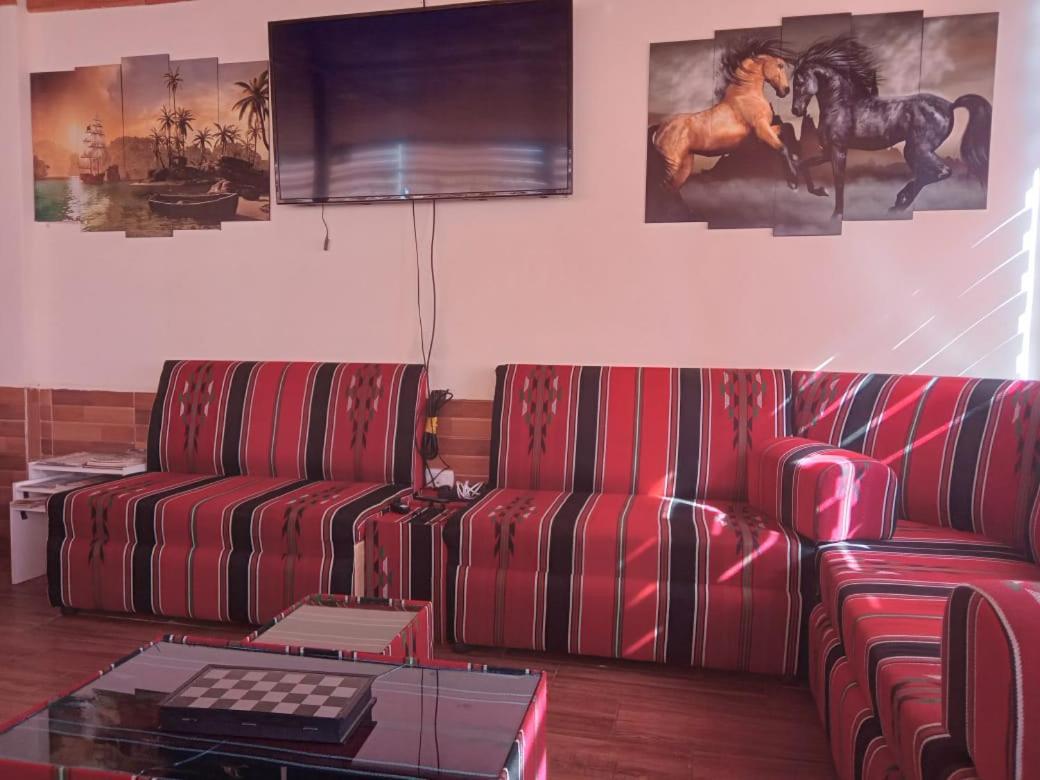 Petra Cabin Hostel Vádi Músza Kültér fotó